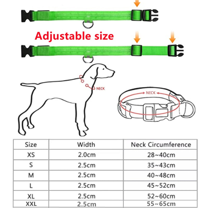 Leuchtendes Hundehalsband