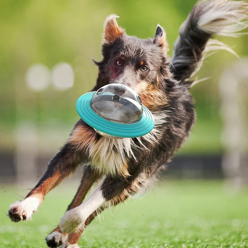 Fliegender Untertassen-Slow-Feeder-Spielzeug