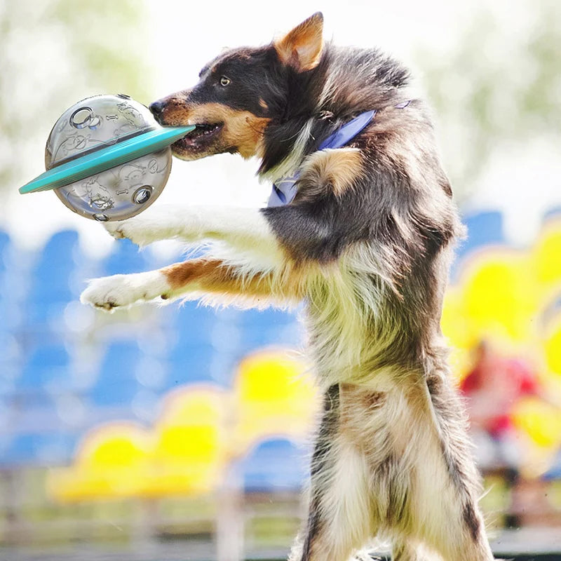 Fliegender Untertassen-Slow-Feeder-Spielzeug