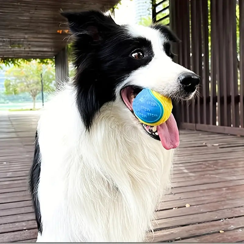 Interaktiver Quietsch-Ball für Welpen - Zahnreinigung & Spaß!