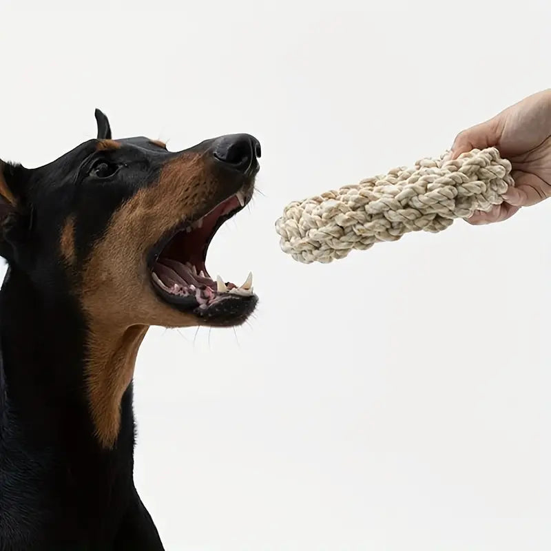 Zufälliges Geflochtenes Haustier-Kauspielzeug für Hunde