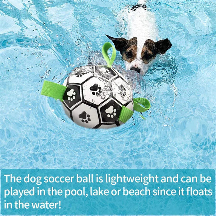 Splash Pup: Der ultimative Fußball für Hunde für unvergessliche Bindungsabenteuer