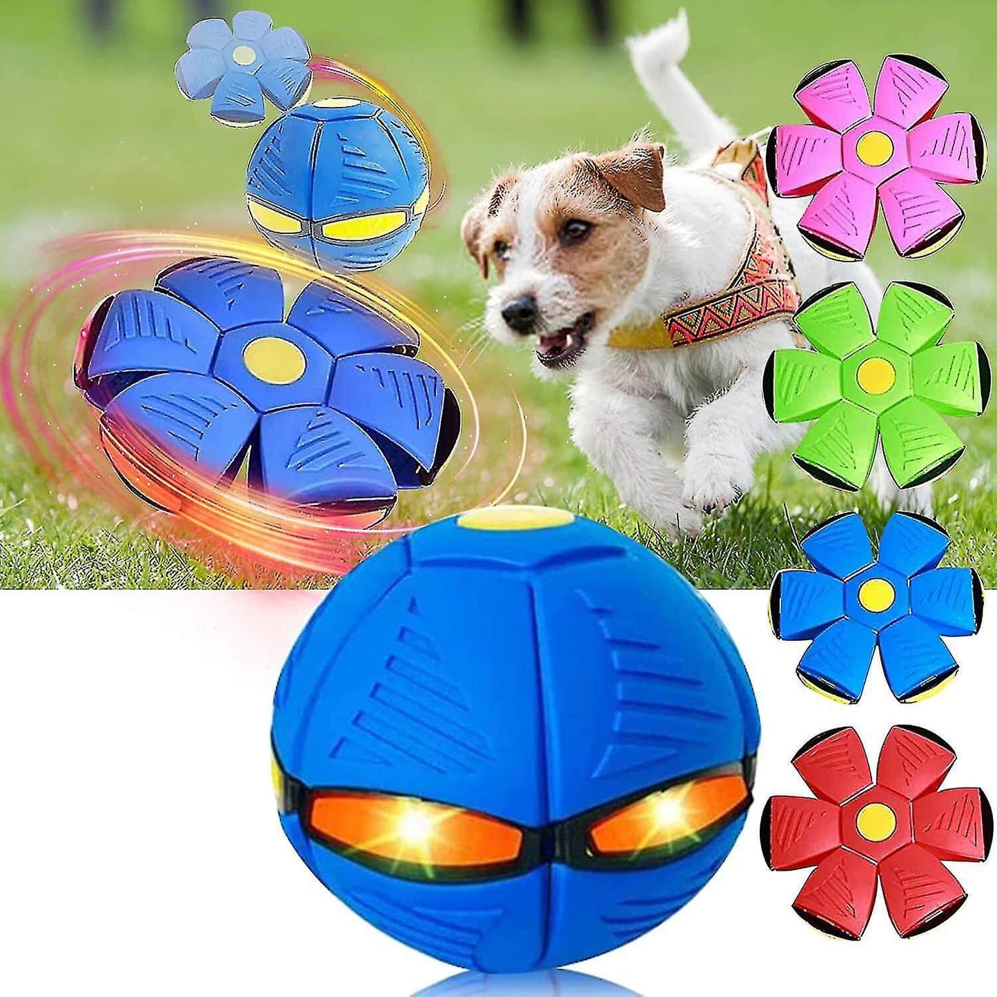 Fliegende Hunde-Frisbee: Spaß & Spiel für Ihren Vierbeiner!