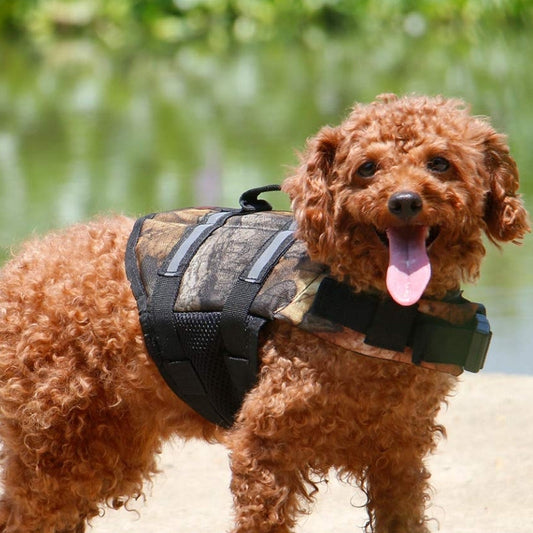 Camo-Hunde-Schwimmweste