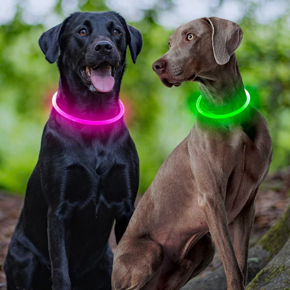 Leucht-Halsband PowerGlow – Sicher & Wiederaufladbar für Ihren Hund