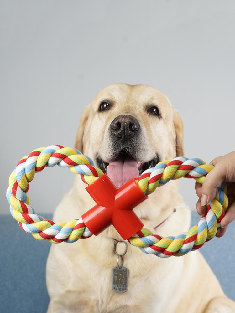 Zahnfestes Tau - Blaugrünes Hundespielzeug