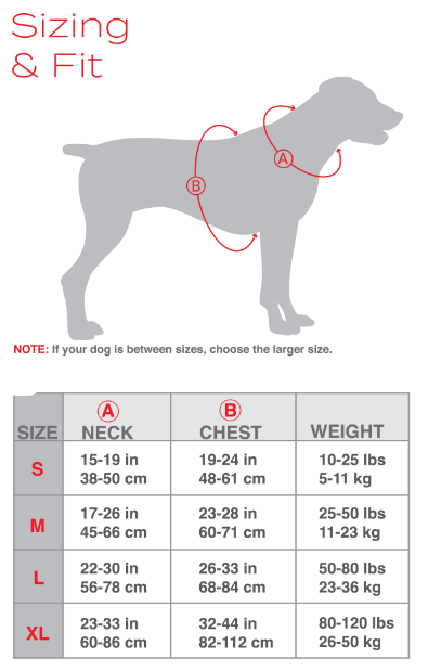 Meeresbrise - Blaues Chesapeake Geschirr