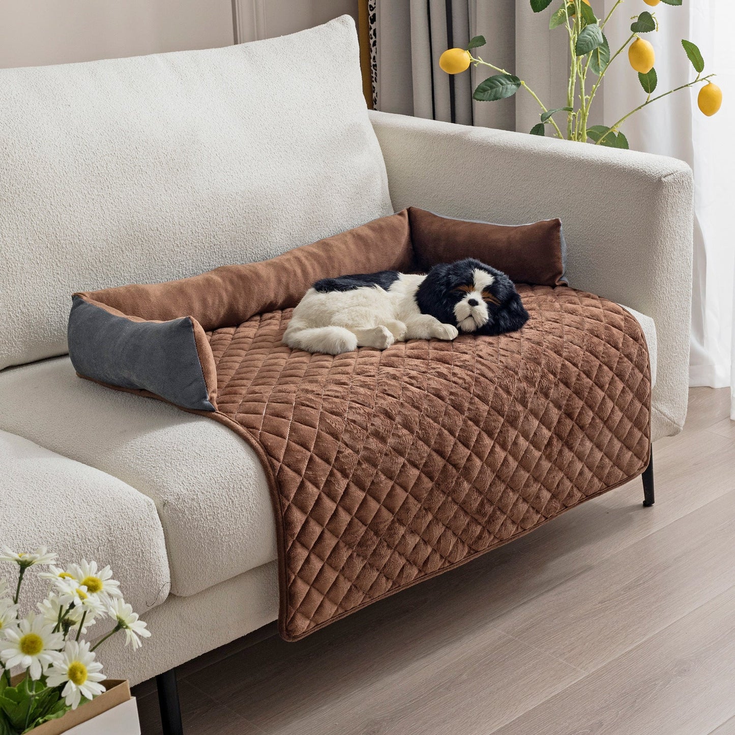 Komfort-Luxus Hundebett: Plüsch & Kissen Sofa