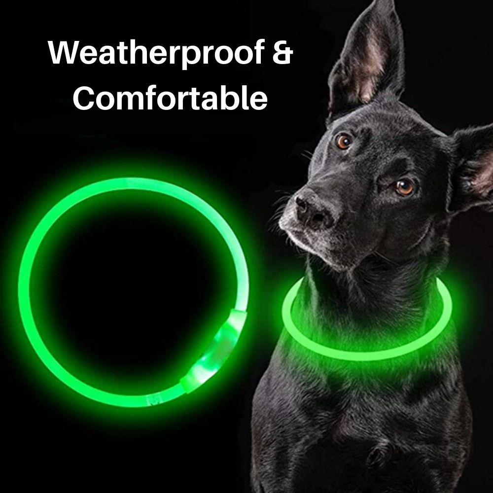 Leucht-Halsband PowerGlow – Sicher & Wiederaufladbar für Ihren Hund