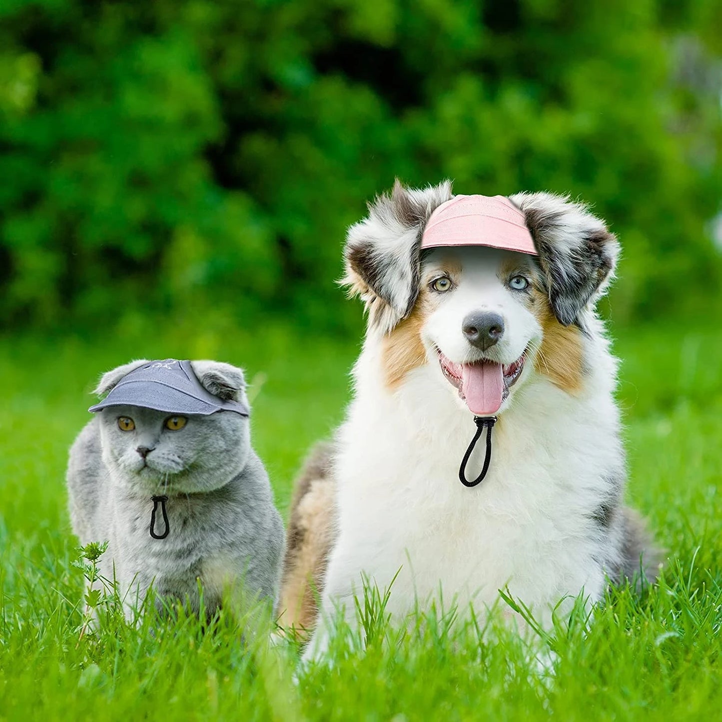 CoolCap - Verstellbare Hundebaseballkappe Schwarz