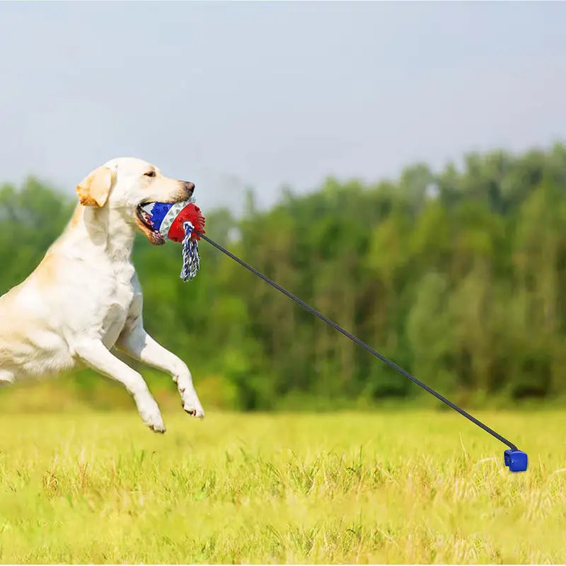 Hundespielzeug zum Zerren und Kauen im Freien