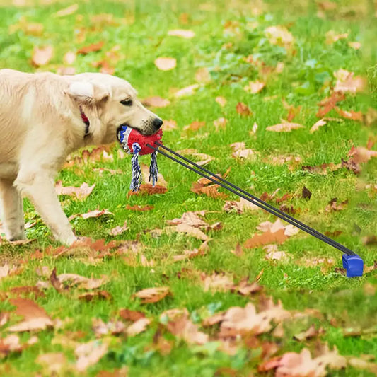 Hundespielzeug zum Zerren und Kauen im Freien