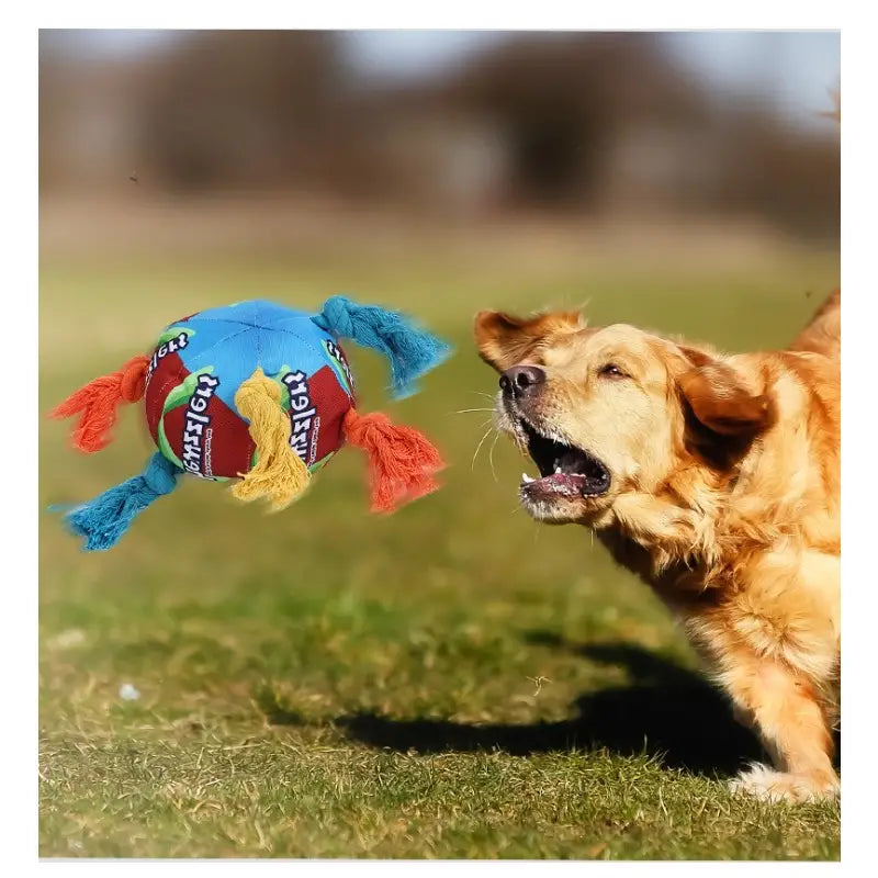 Regenbogen Twist Candy Haustier Hundespielzeug