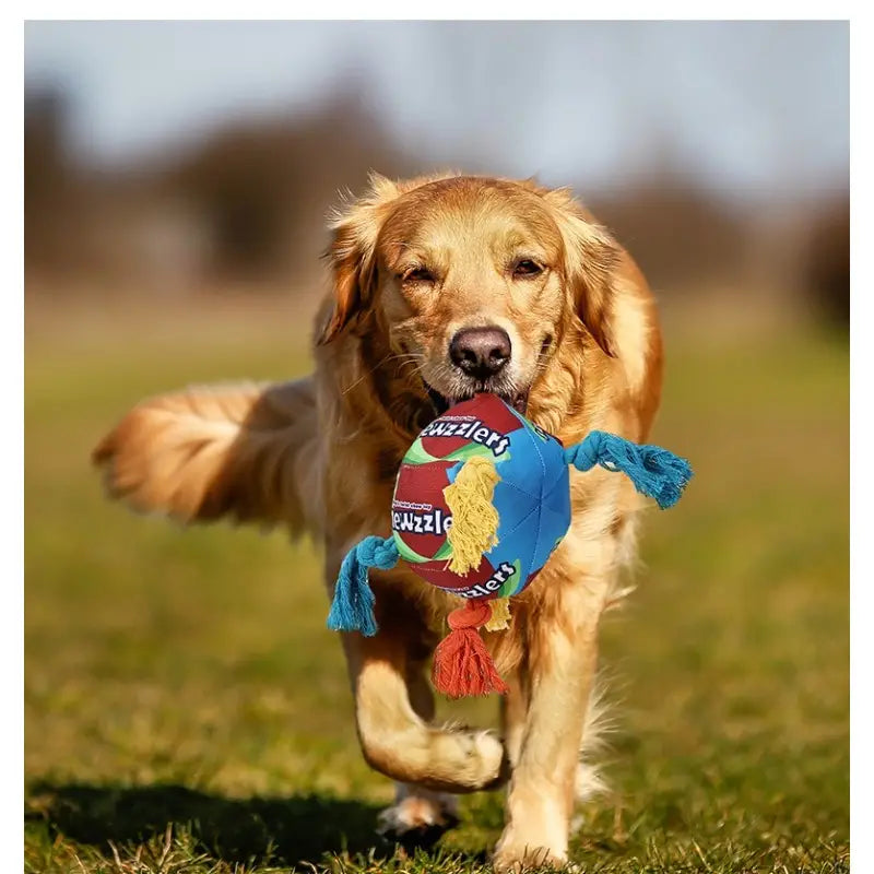 Regenbogen Twist Candy Haustier Hundespielzeug