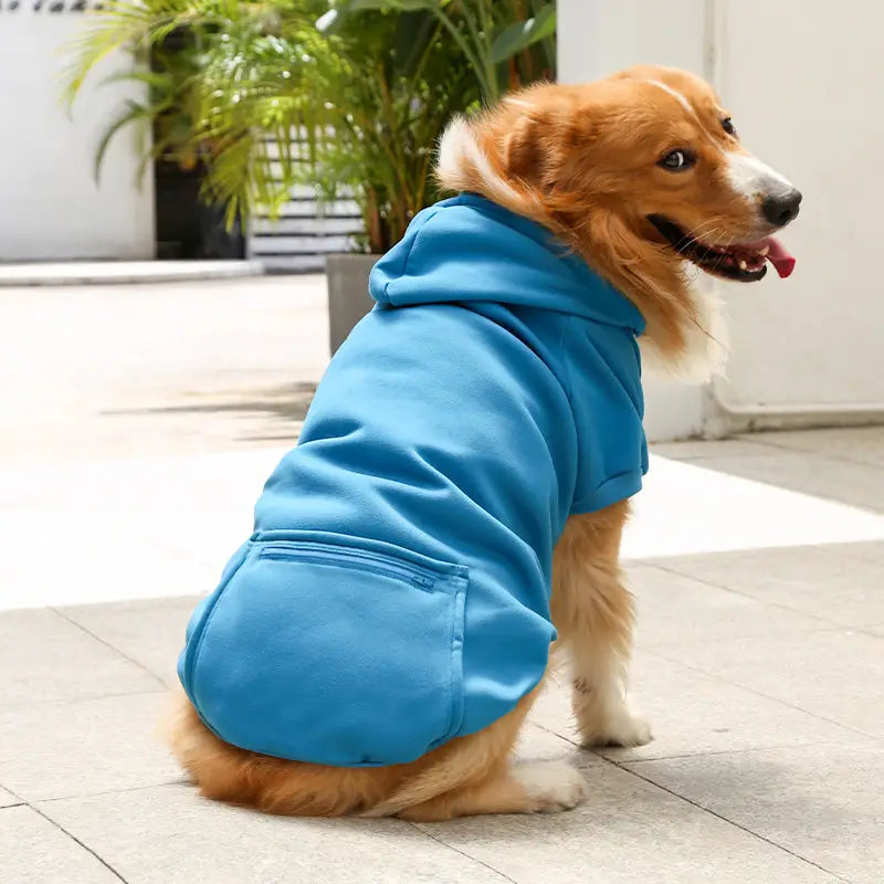 Winter-Hunde-Hoodie - Warm & Stylisch!