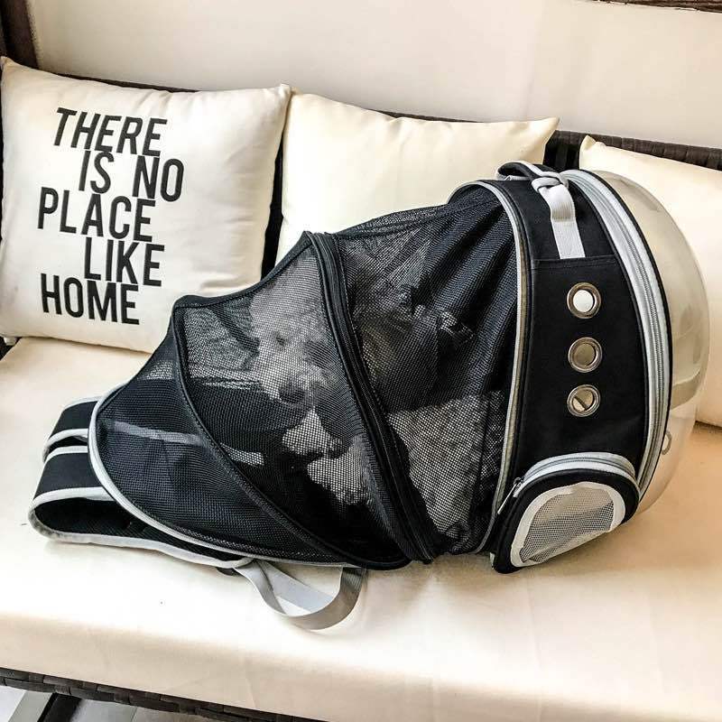 Ausklappbarer Katzen/Hunde Rucksack