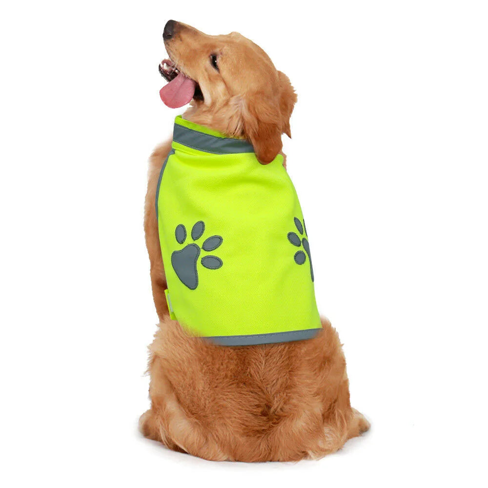 SicherWeste - Reflektierende Hundejacke