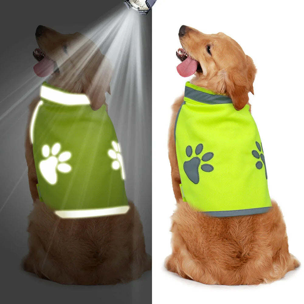 SicherWeste - Reflektierende Hundejacke