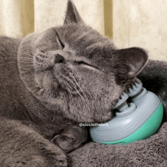 Katzenmassager