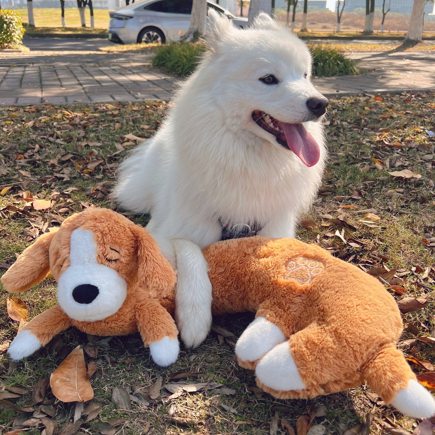 CalmBuddy Herzschlag-Welpen-Plüschspielzeug