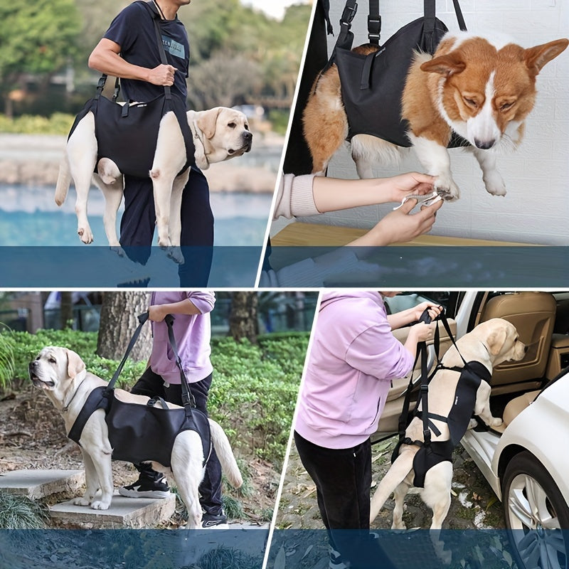 CareLift - Ergonomisches Hebegeschirr für Hunde