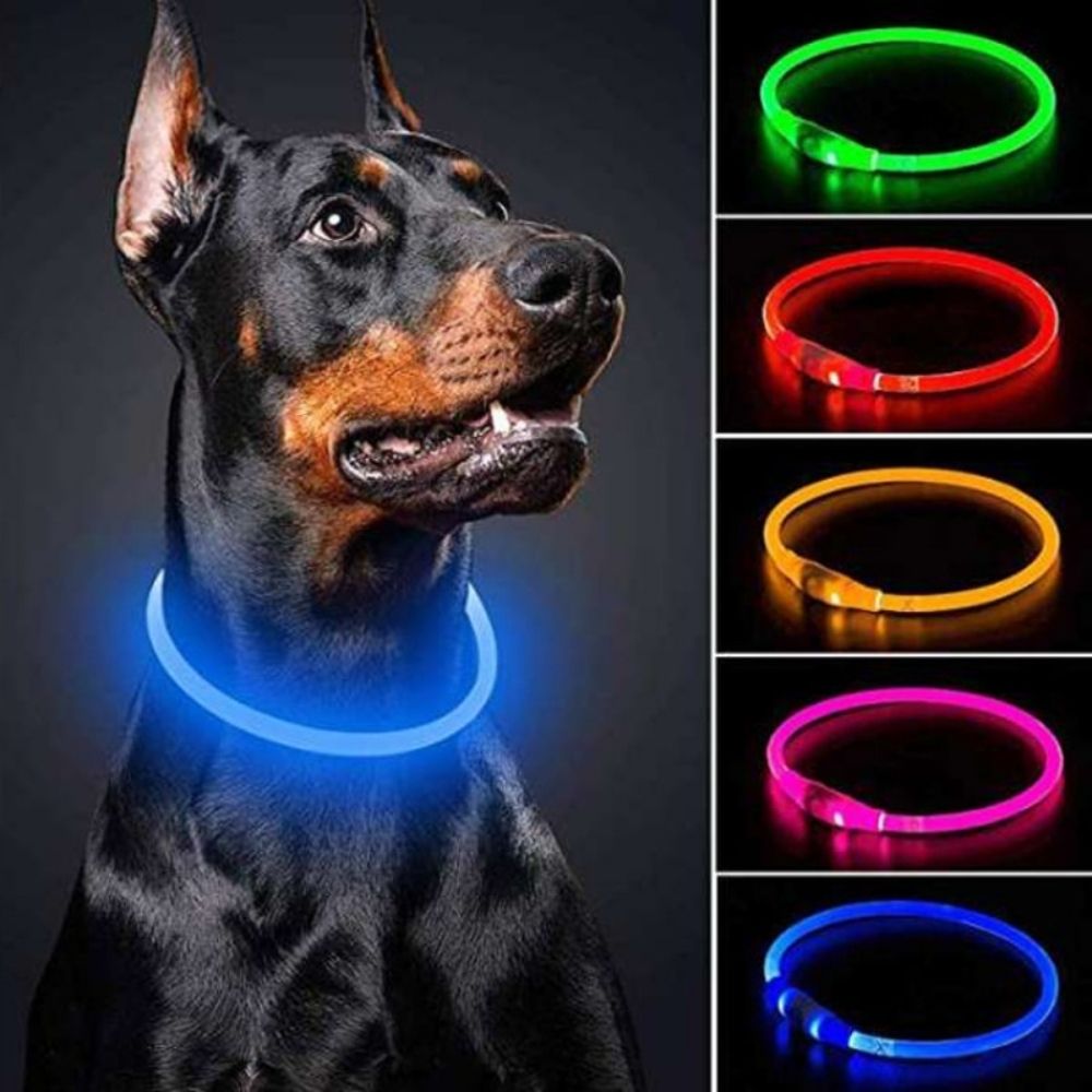 Leucht-Halsband PowerGlow – Sicher & Wiederaufladbar für Ihren Hund