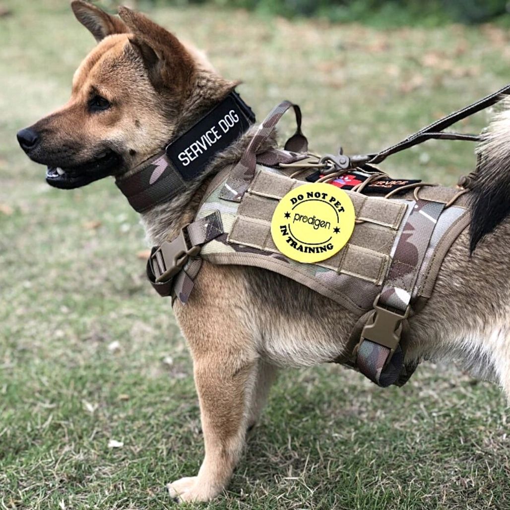 ElitePro Tactical Sicherheits-Geschirr für Hunde