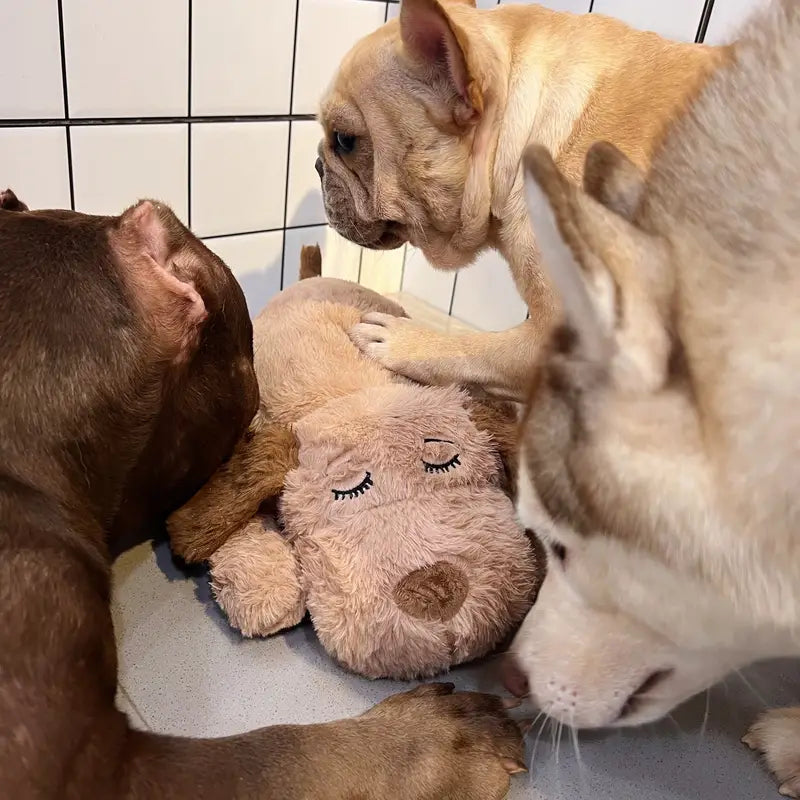 Interaktives Haustier Plüsch Spielzeug Quietschendes Kauspielzeug für Hunde