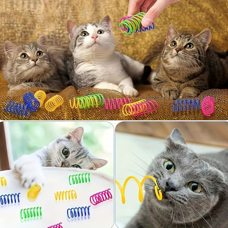 SpringFun - Bunte Spiralspielzeuge für Katzen