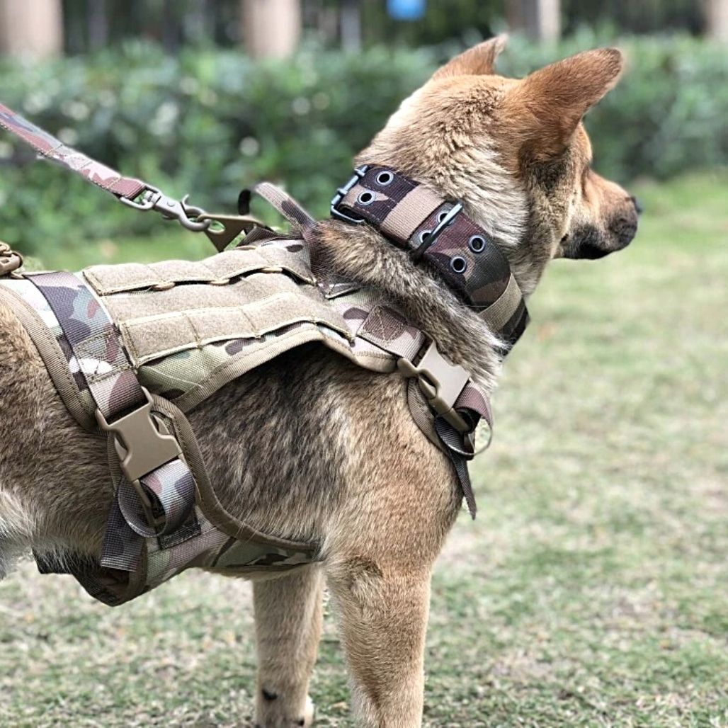 ElitePro Tactical Sicherheits-Geschirr für Hunde