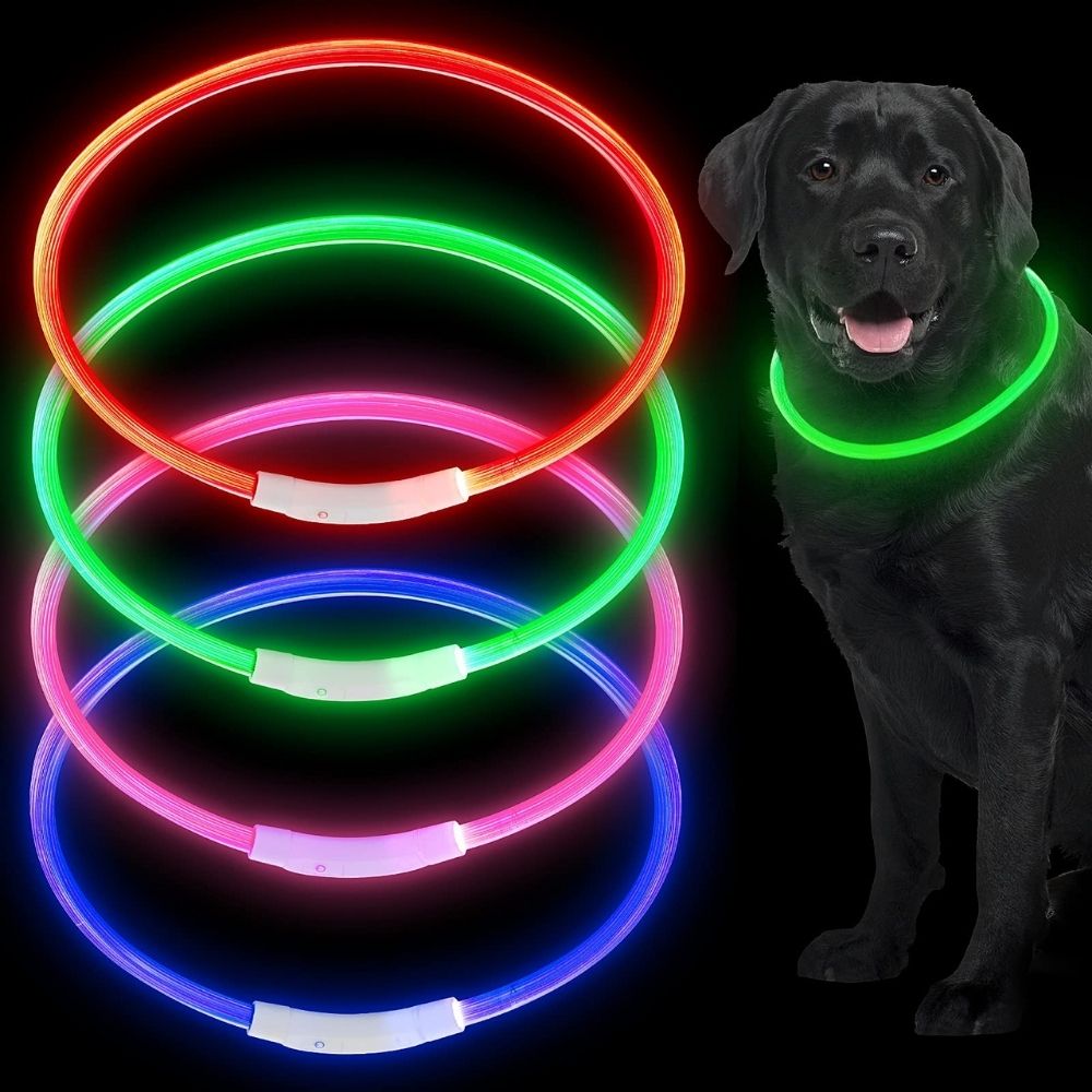 Leucht-Halsband PowerGlow – Sicher & Wiederaufladbar für Ihren Hund