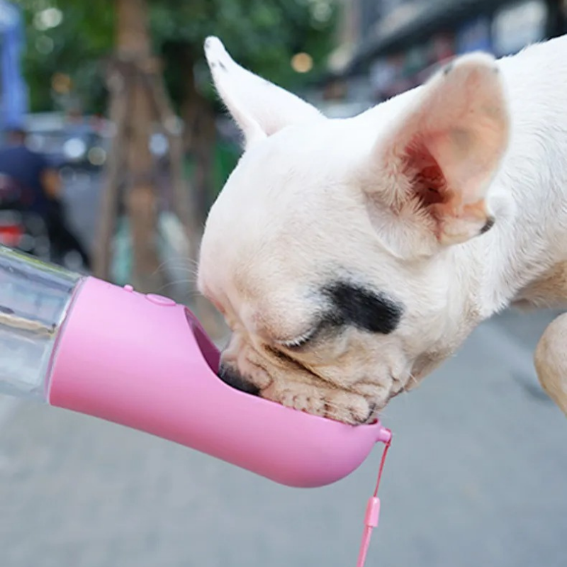 HydroPet - 2-in-1 Reise-Trink- und Snackflasche für Haustiere