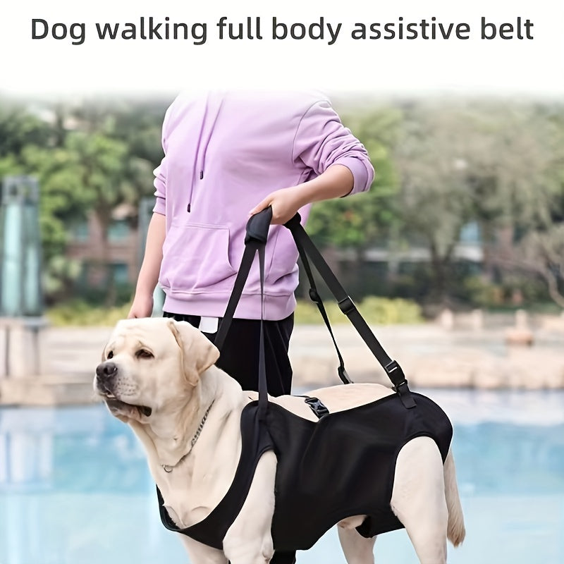 CareLift - Ergonomisches Hebegeschirr für Hunde