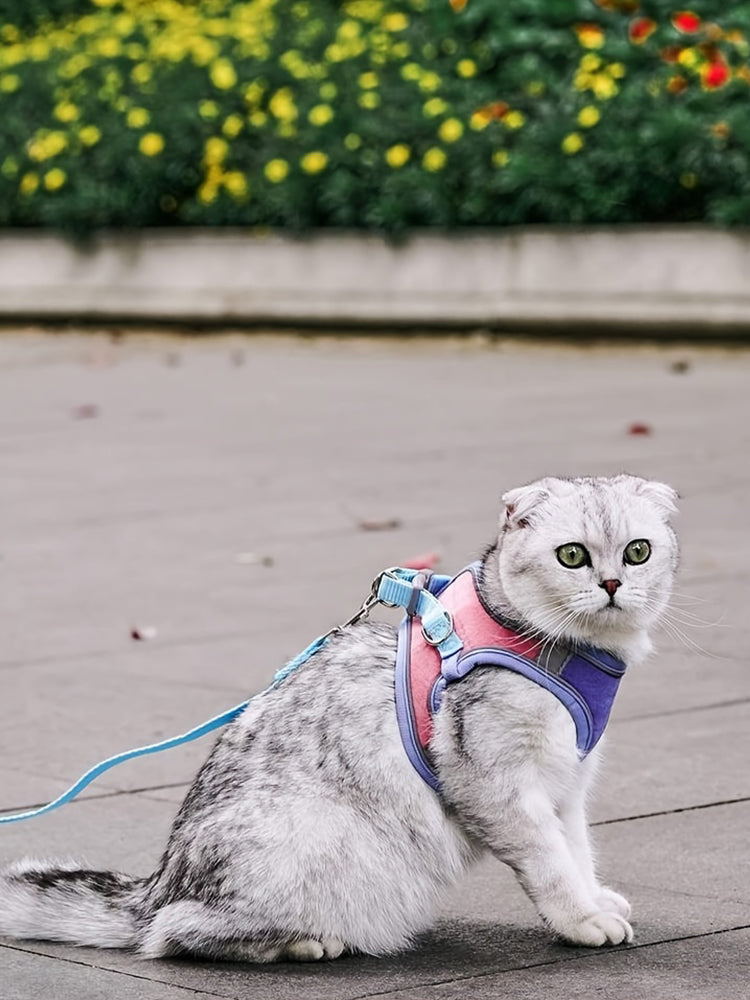 FlexiKatze - Verstellbares Geschirr- und Leinenset