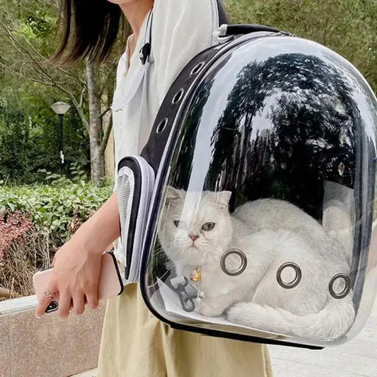 Ausklappbarer Katzen/Hunde Rucksack