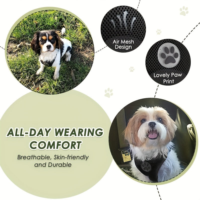 ComfortPaws Schwarzes Hundegeschirr-Set