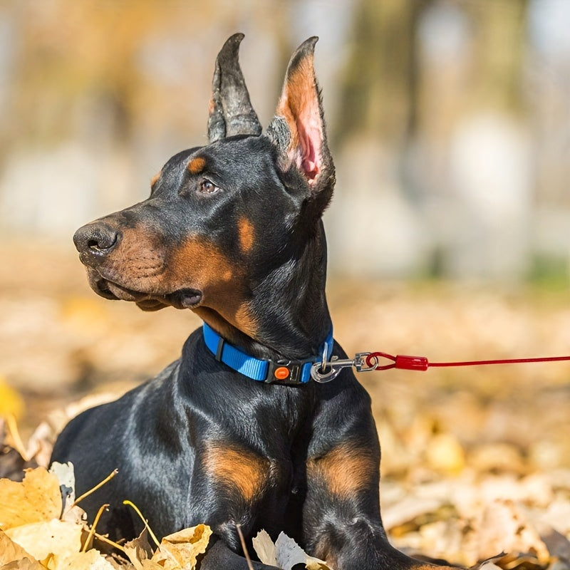 TwinTrek - Stahl-Doppelleine für Hunde