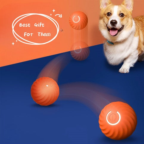 Spielkugel IQ - Blauer Intelligenter Hundeball