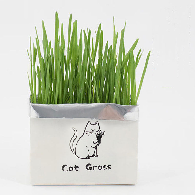 GreenPaws: Organisches Katzen-Gras Kit – Gesund & Einfach!