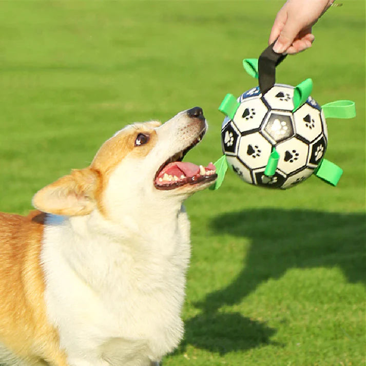 Splash Pup: Der ultimative Fußball für Hunde für unvergessliche Bindungsabenteuer