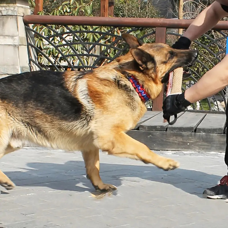 Strapazierfähiges Hundekauspielzeug mit Doppelgriffen