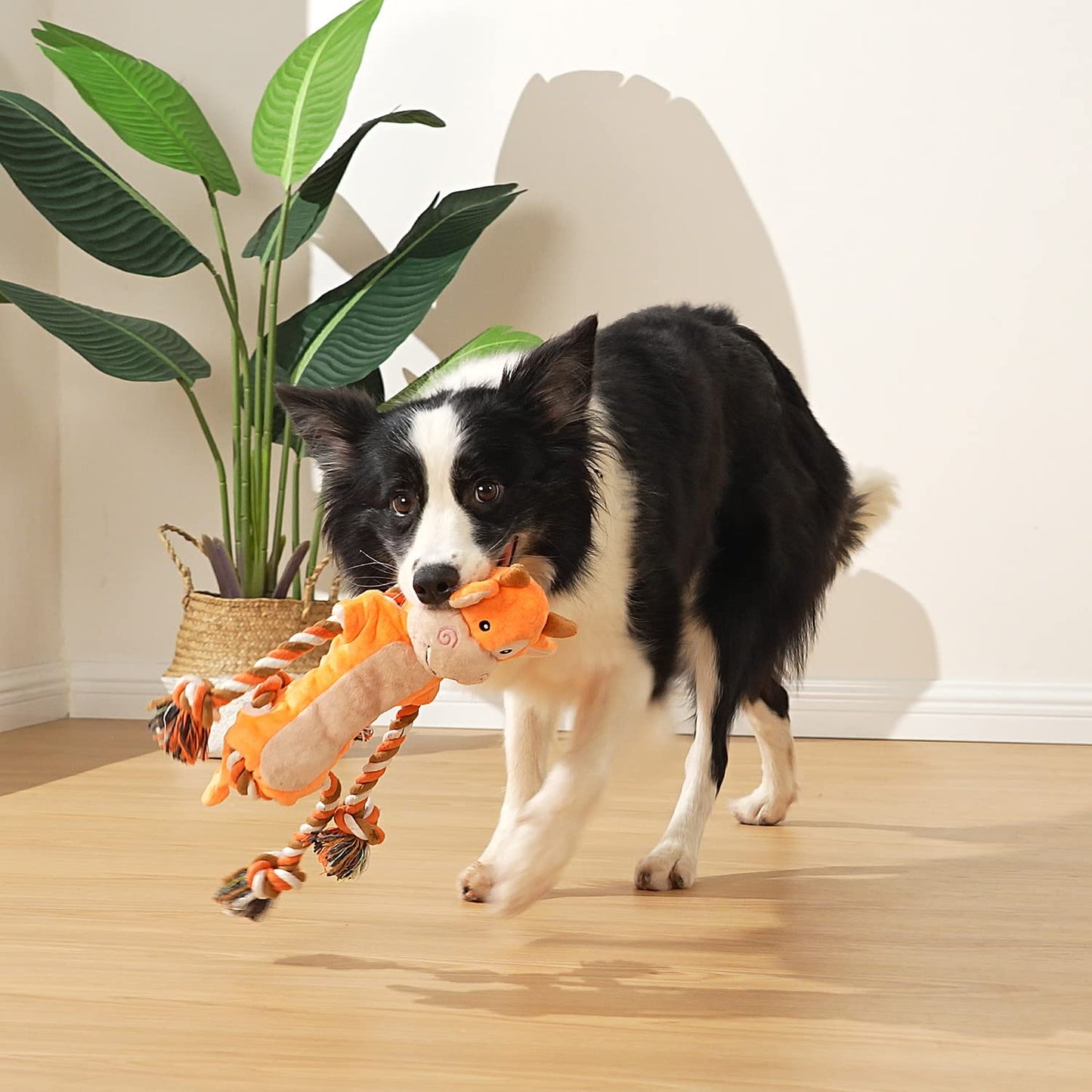 PlüschKumpel - Hundespielzeug für große Rassen