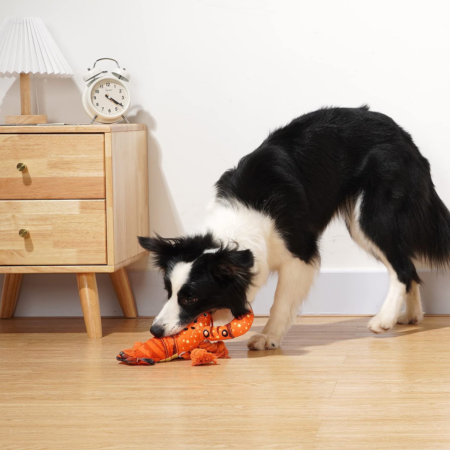 PlüschKumpel - Hundespielzeug für große Rassen