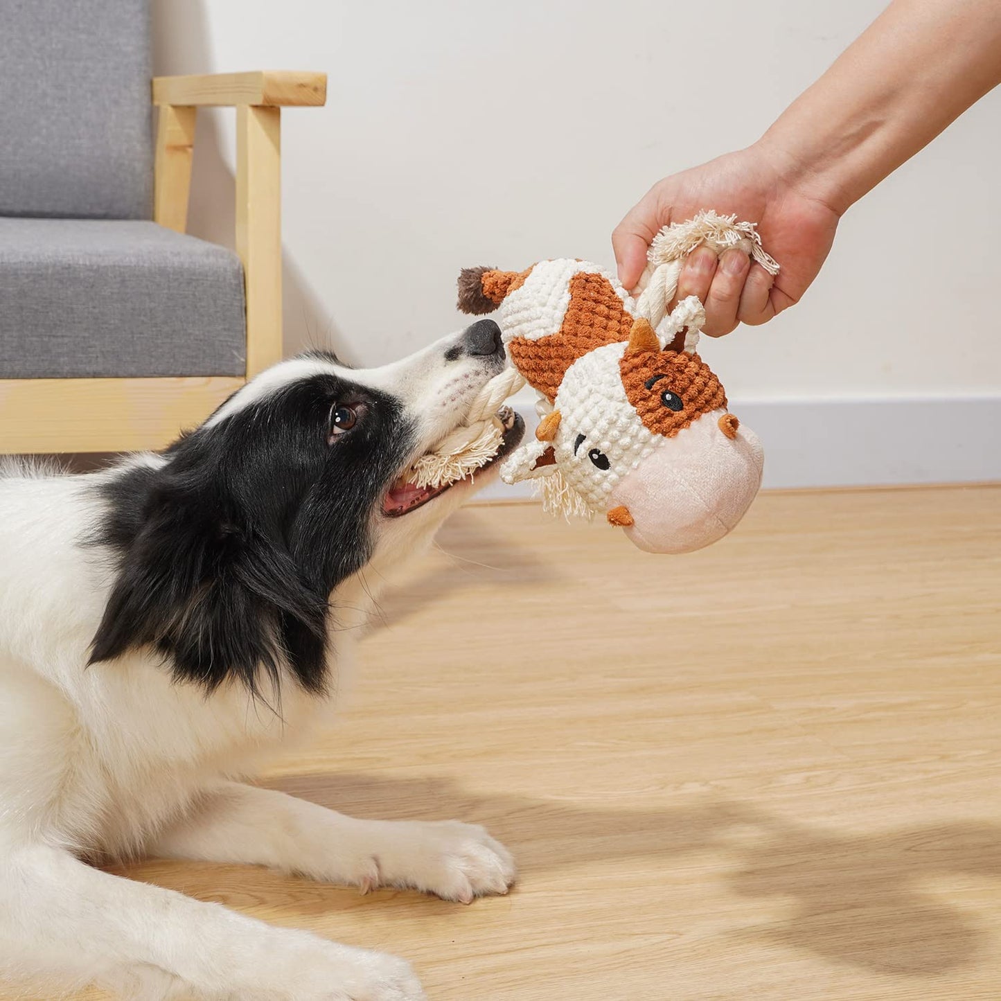 PlüschKumpel - Hundespielzeug für große Rassen