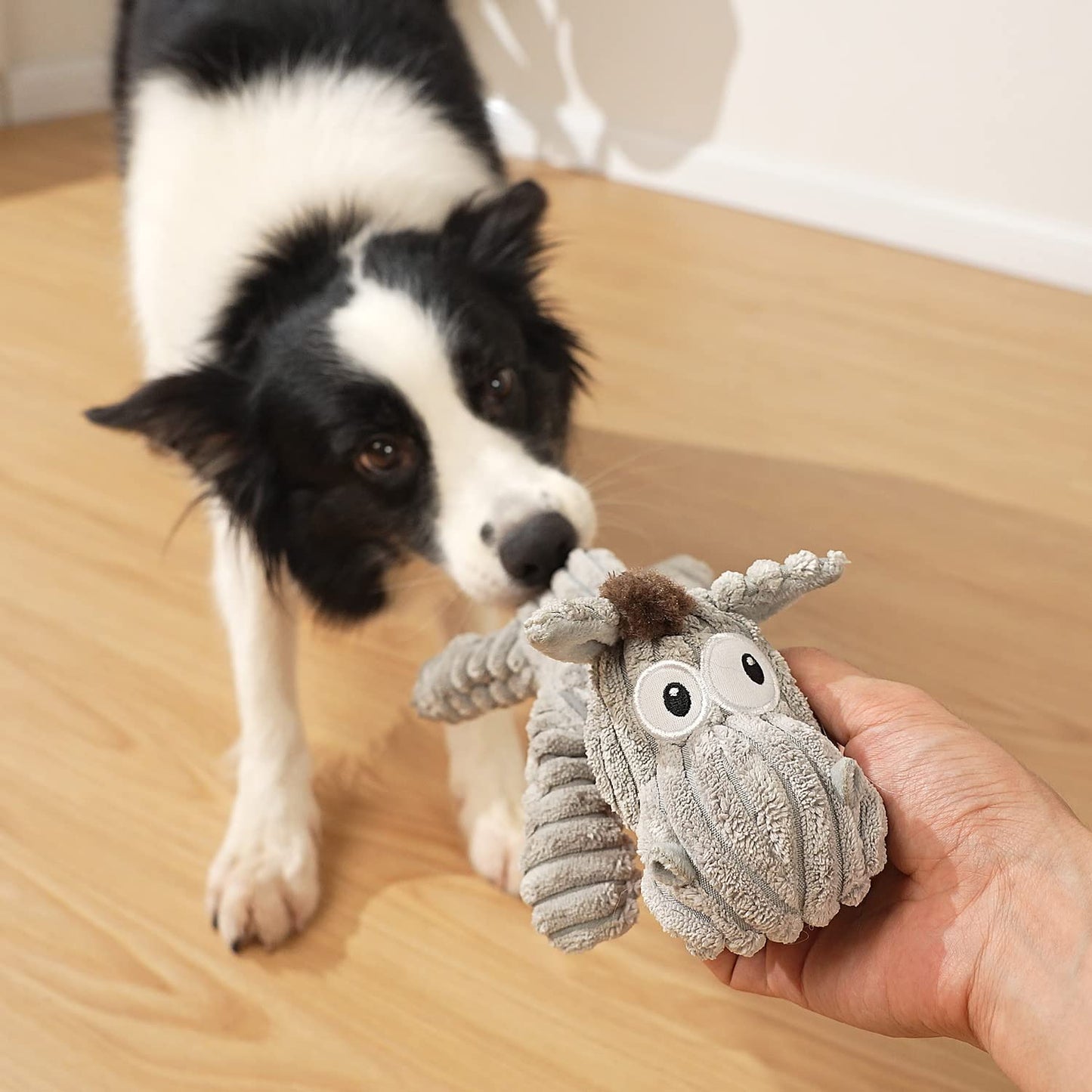 PlüschKumpel - Hundespielzeug für große Rassen