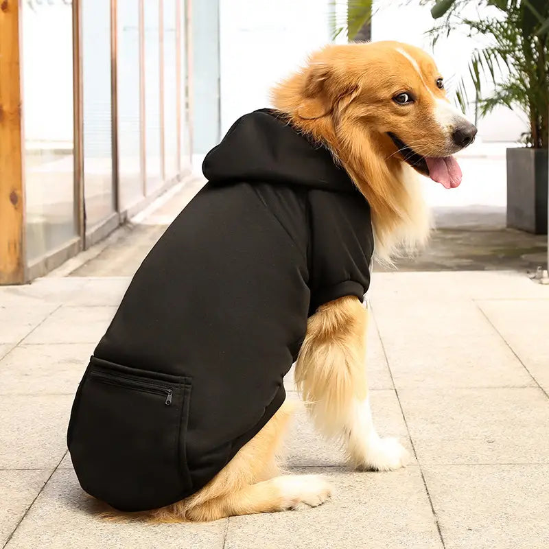 Winter-Hunde-Hoodie - Warm & Stylisch!