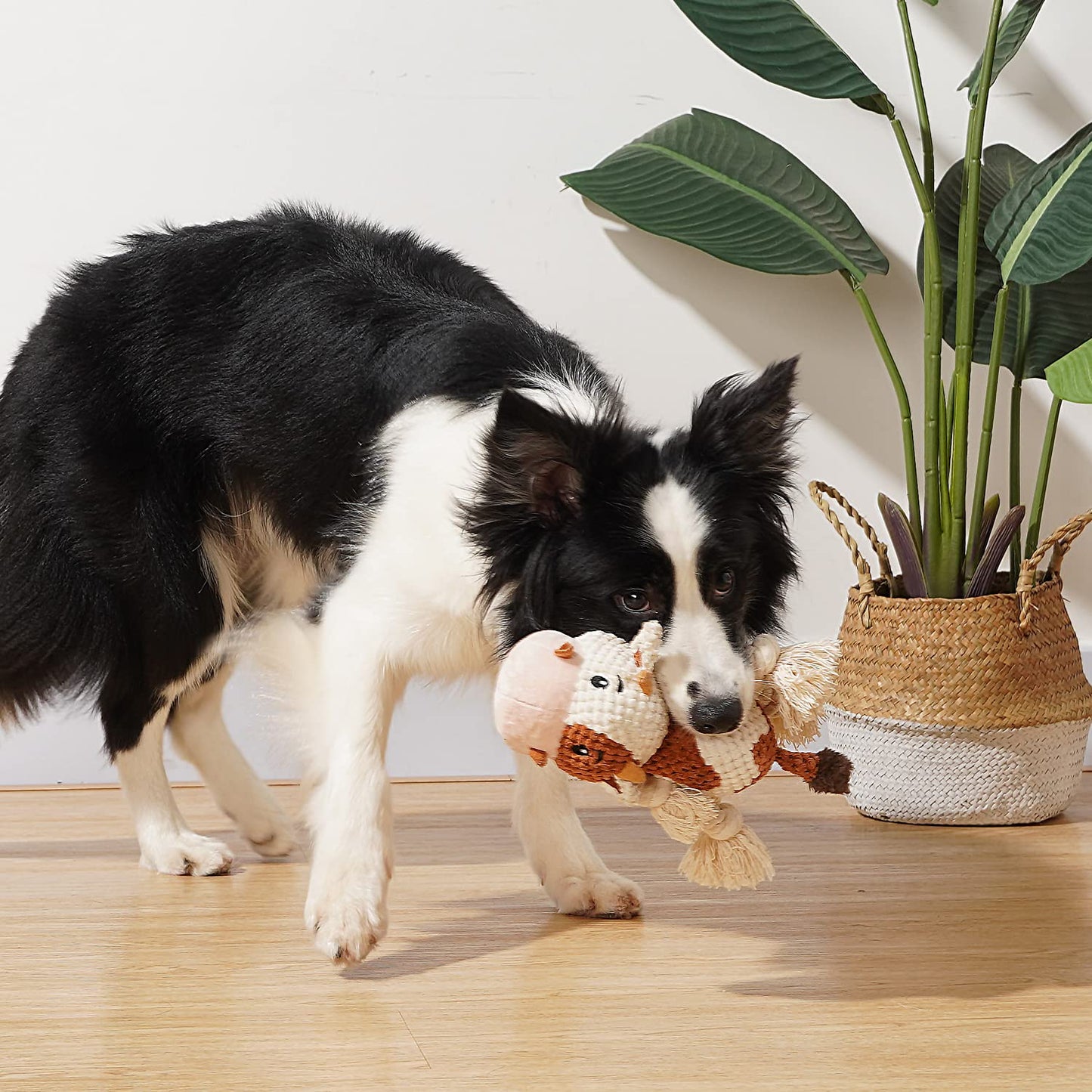 PlüschKumpel - Hundespielzeug für große Rassen