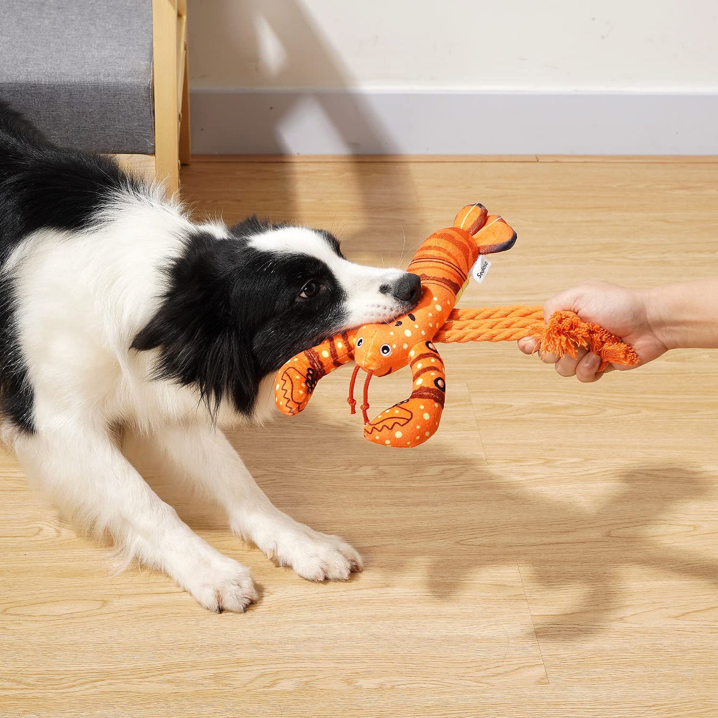 PlüschKumpel - Hundespielzeug für große Rassen