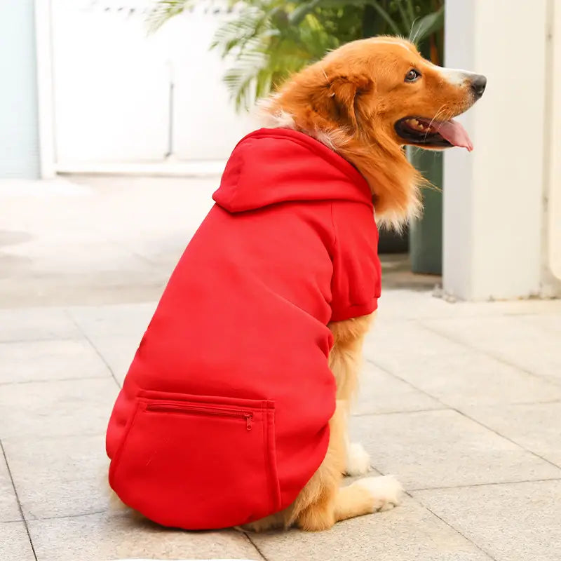 Winter-Hunde-Hoodie - Warm & Stylisch!