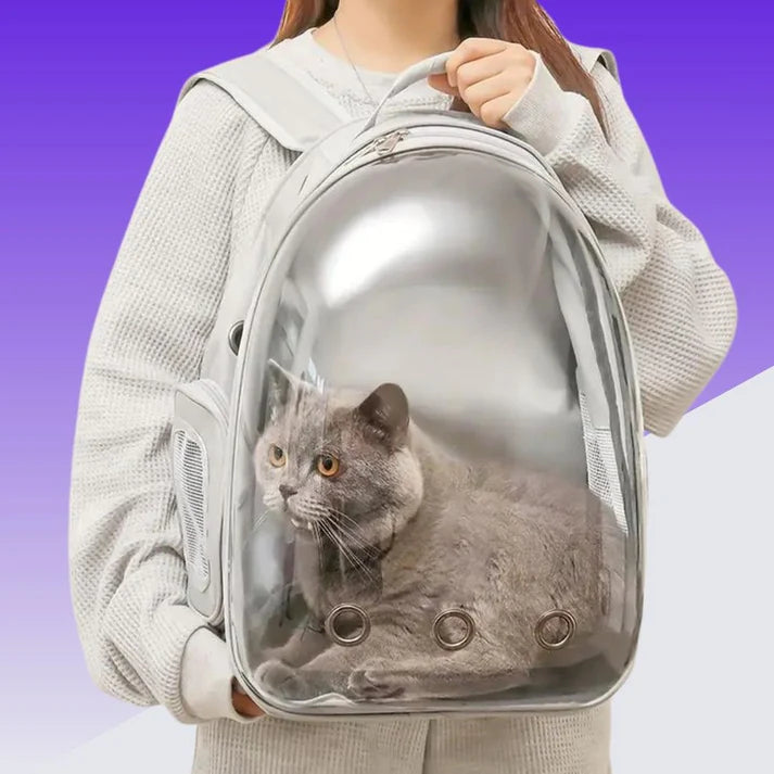 Ausklappbarer Katzen/Hunde Rucksack